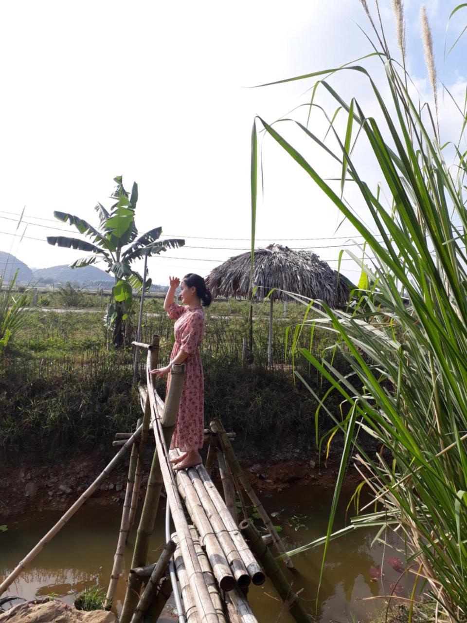 Bai Dinh Eco Homestay Ninh Binh Bagian luar foto